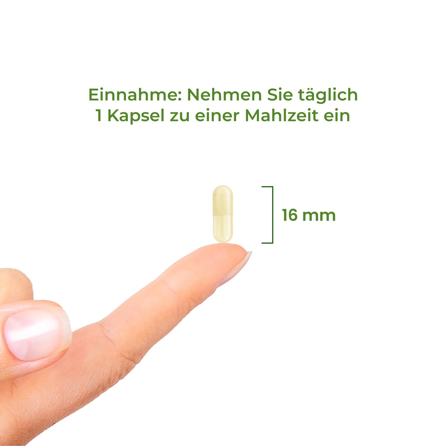 Folic acid 400 µg Bioactive - BioActive Folate Vitality Nutritionals