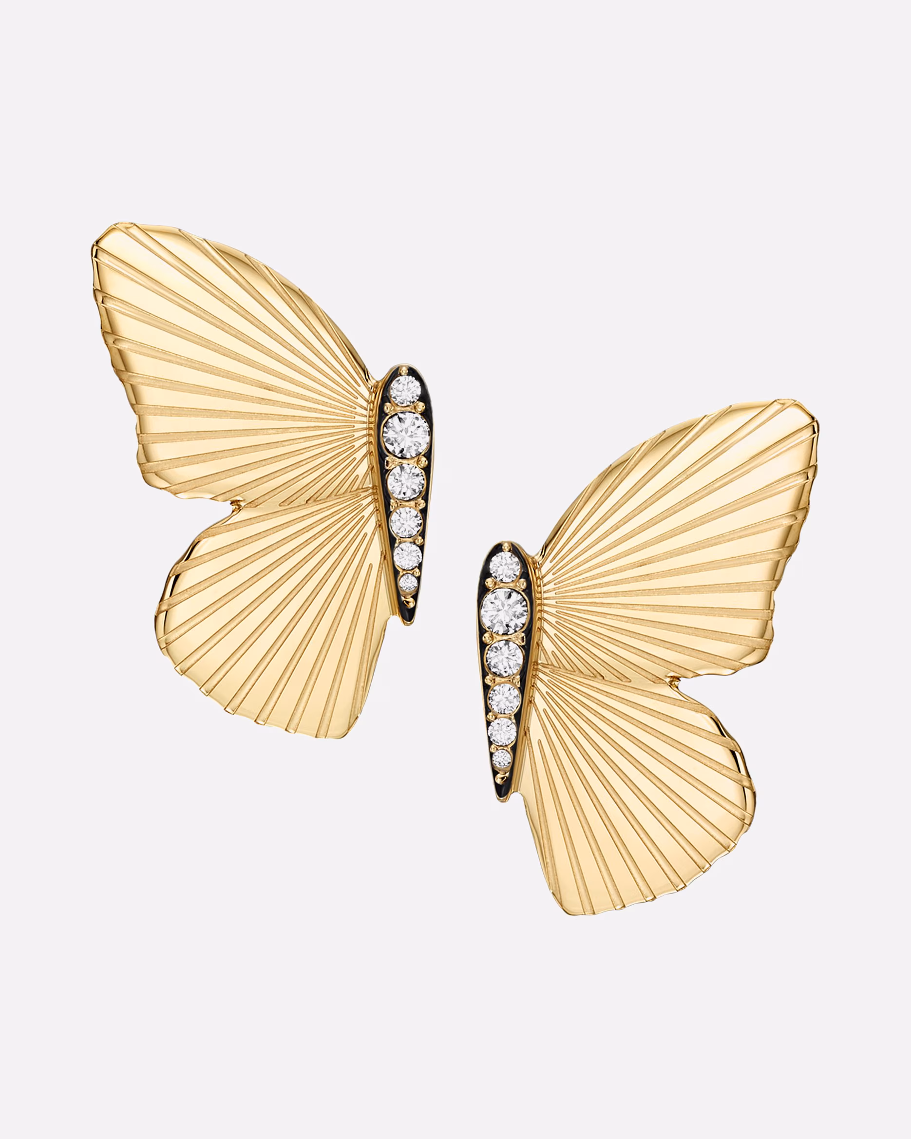 Fossil earring studs stainless steel