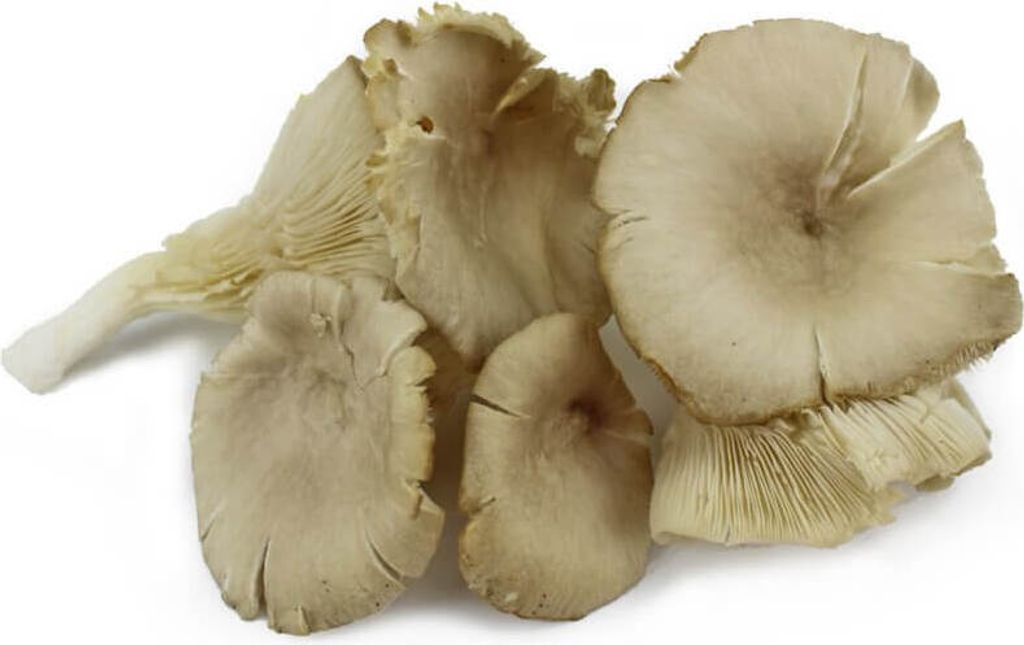 FRESH OYSTER MUSHROOMS (Poland) (approx. 0.20 kg)