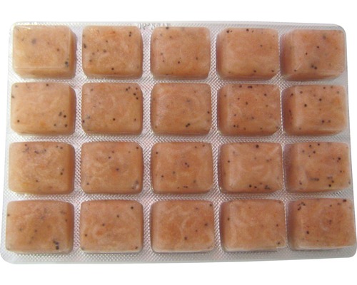Frozen food POSEIDON Krill fine 100 g