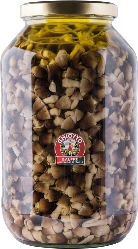 Galfrè - moss mushrooms in seed oil - 4.1 kg