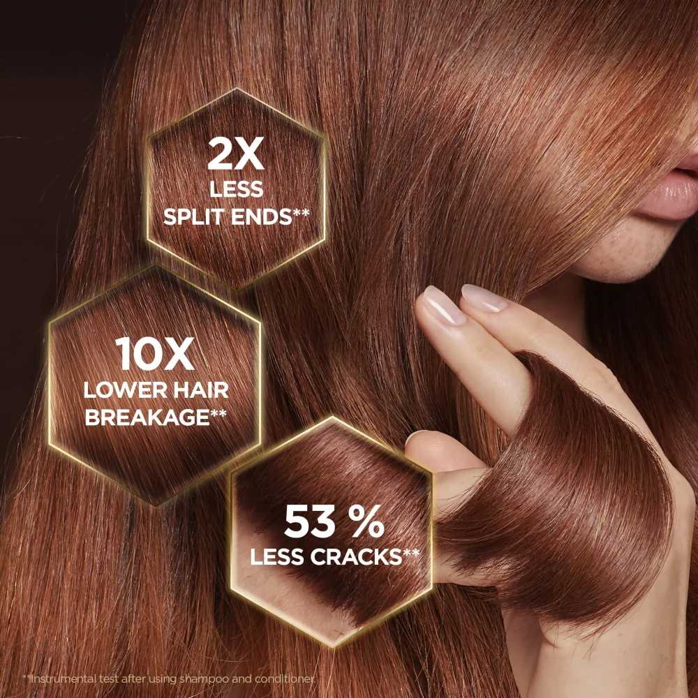 Garnier Botanic Therapy Hair Remedy Regenerating Mask for Damaged Hair