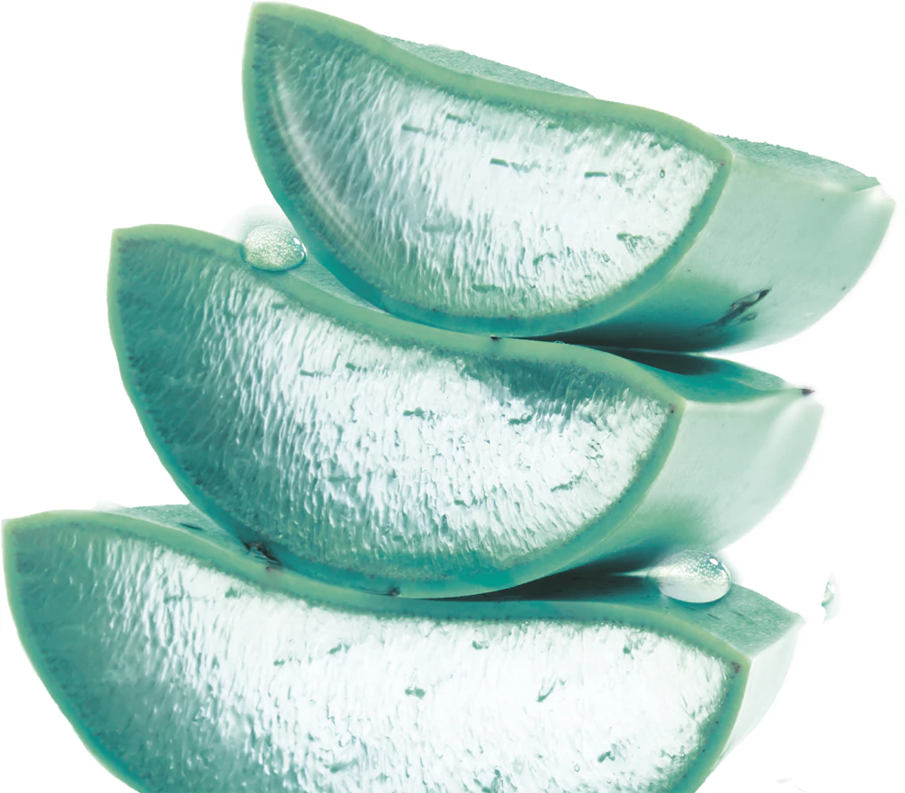 Garnier Skin Naturals Hyaluronic Aloe Nourishing Cream