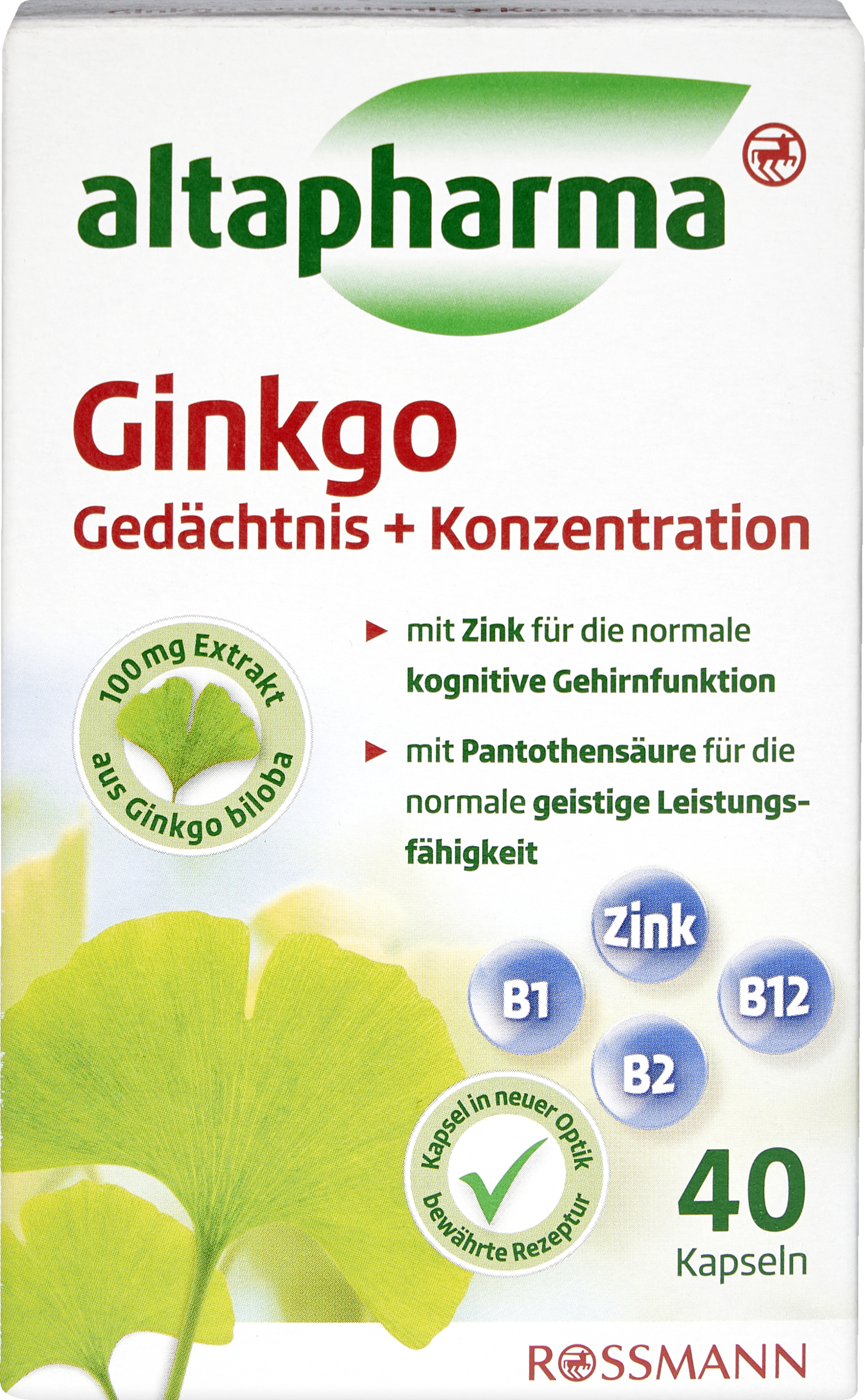 Ginkgo memory + concentration