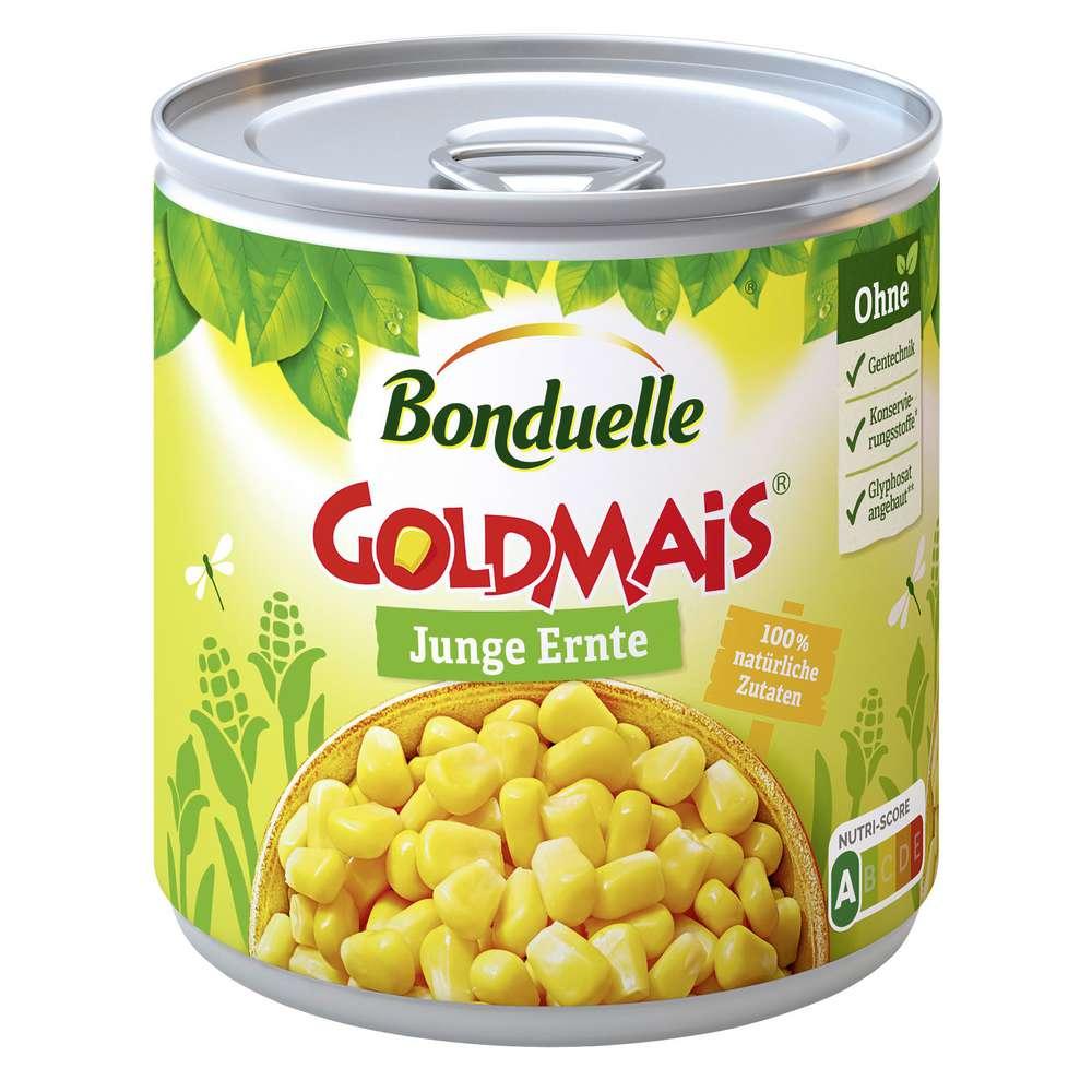 Golden corn, young harvest