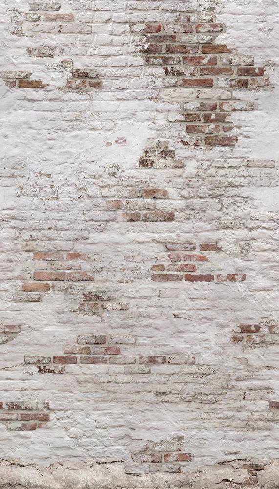 Grandeco Stone Look-Wall Picture - Exposure Ep6101