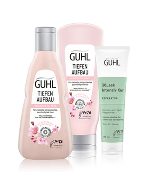 GUHL Repair Advantage Set