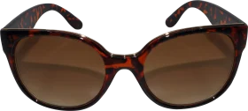SUNDANCE Sunglasses Adult Big Shape with brown tinted lenses, 1 piece