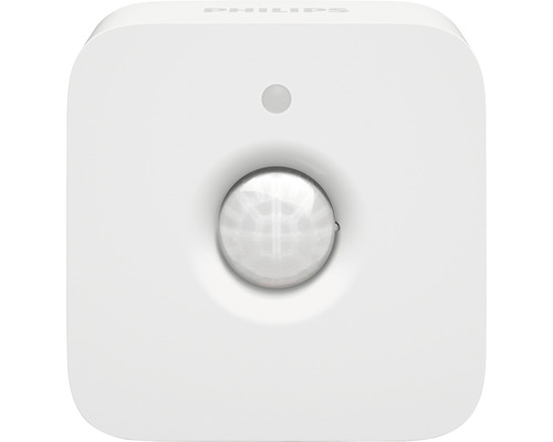 Hue motion detector indoor white