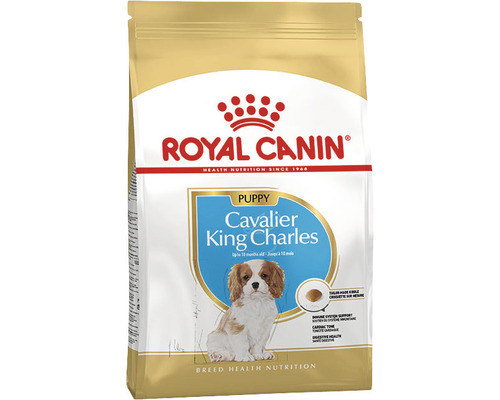 Dry dog ​​food ROYAL CANIN Cavalier King Charles Puppy dry puppy food 1.5 kg