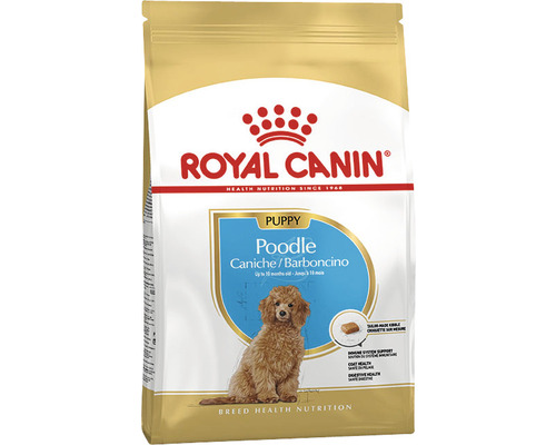 Dry dog ​​food, ROYAL CANIN CC Poodle Junior, 3 kg