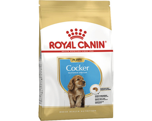 Dry dog ​​food, ROYAL CANIN Cocker Junior 3 kg