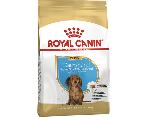 Dry dog ​​food ROYAL CANIN Dachshund Puppy puppy food for Dachshunds 1.5 kg