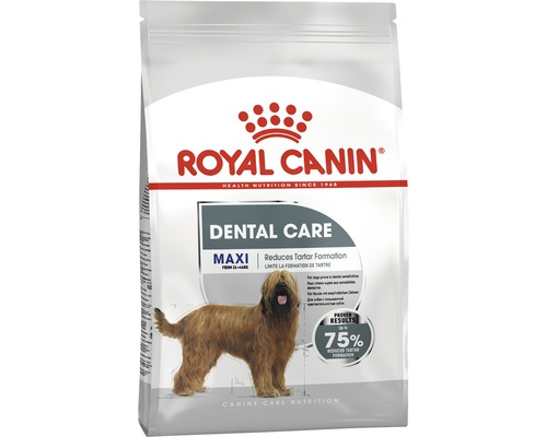 Dry dog ​​food ROYAL CANIN Dental Care Maxi 9 kg