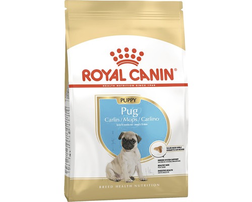 Dry dog ​​food ROYAL CANIN Pug Puppy dry puppy food for pugs 1.5 kg