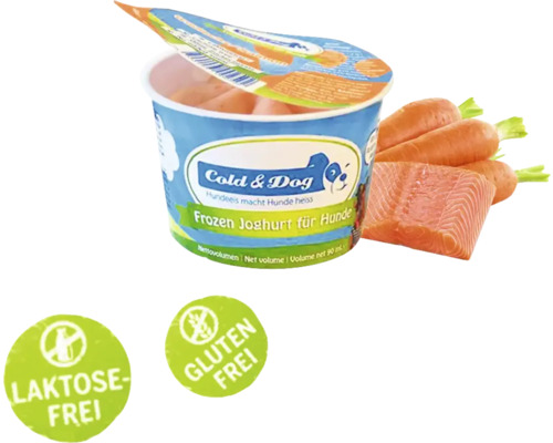 Dog snack Cold&Dog frozen yogurt wild salmon 90 ml dog ice cream, lactose-free, gluten-free