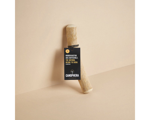 Dog toy CANOPHERA dog chew stick made of coffee wood size S approx. 18 - 22 cm, for dogs up to 10 kg brown, stress relief, dental care, employment