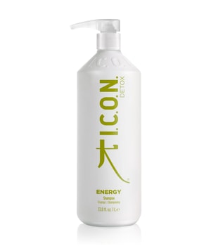 ICON Energy