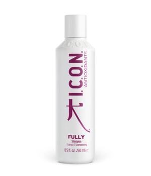 ICON Fully