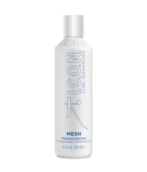 ICON Mesh