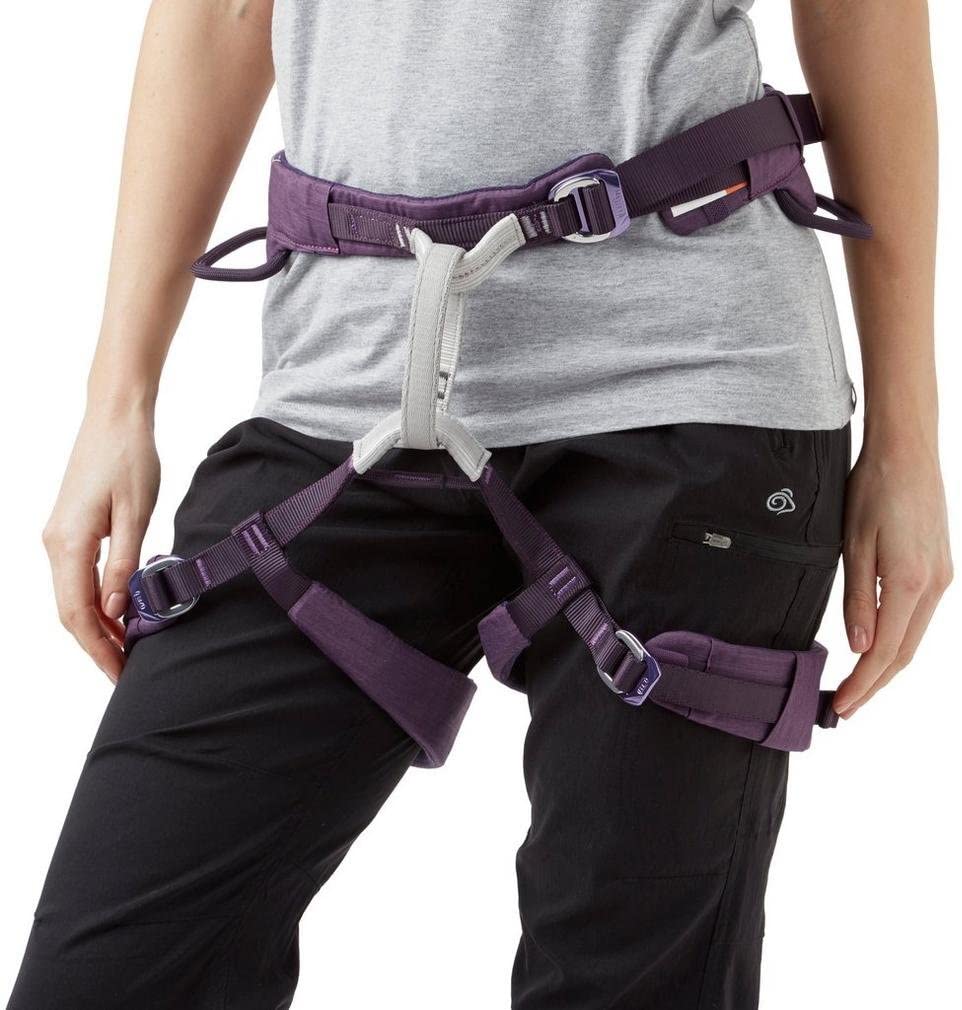 Petzl Womens Climbing Harness, Purple, L