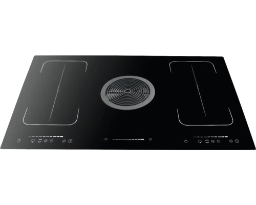 Induction hob with extractor hood Wolkenstein 90 x 52 cm 4 cooking zones IN4-DA-2FZA+W
