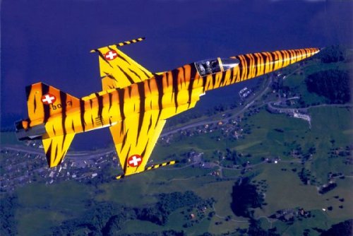 Italeri Italieri F-5 E Swiss Tiger 1: 72