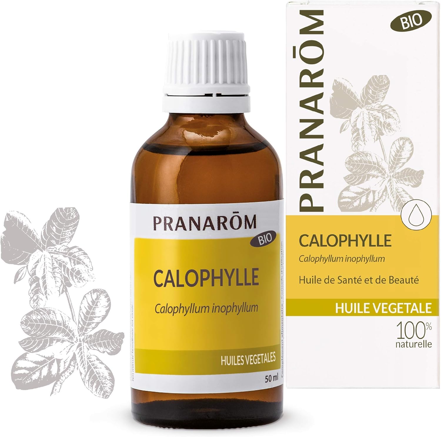 Pranarôm Organic Sweet Almond Vegetable Oil, 50 ml