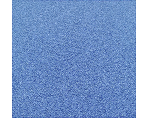 JBL filter foam fine, 50 x 50 x 5 cm, blue