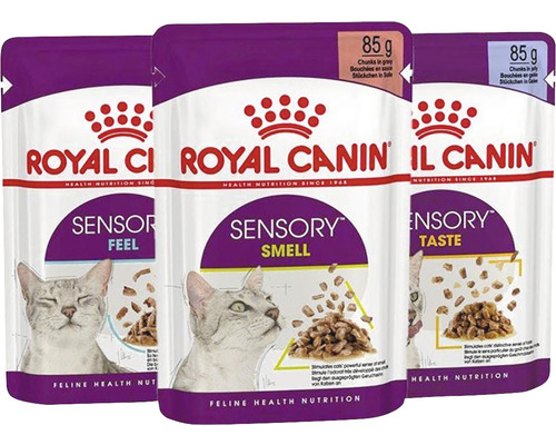 Wet cat food ROYAL CANIN FHN Sensory Multipack Gravy Pack 12 x 85 g