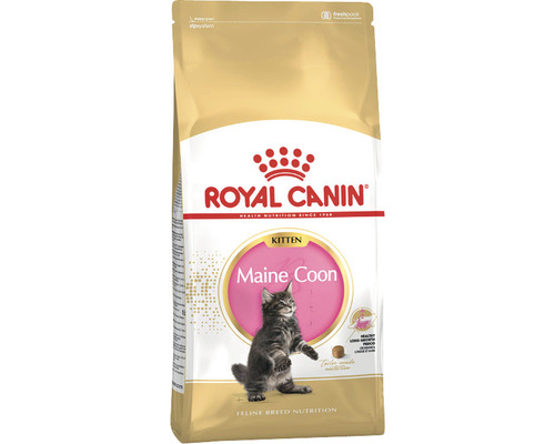 Dry cat food ROYAL CANIN Maine Coon kitten food dry for kittens 10 kg