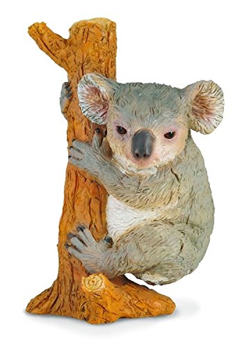 Koala - Collecta Miniatures