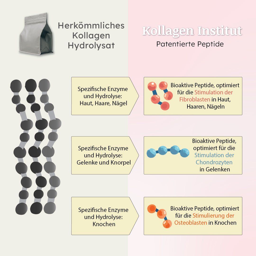 Collagen Institute: Vegetarian collagen capsules with hyaluronic acid and elastin