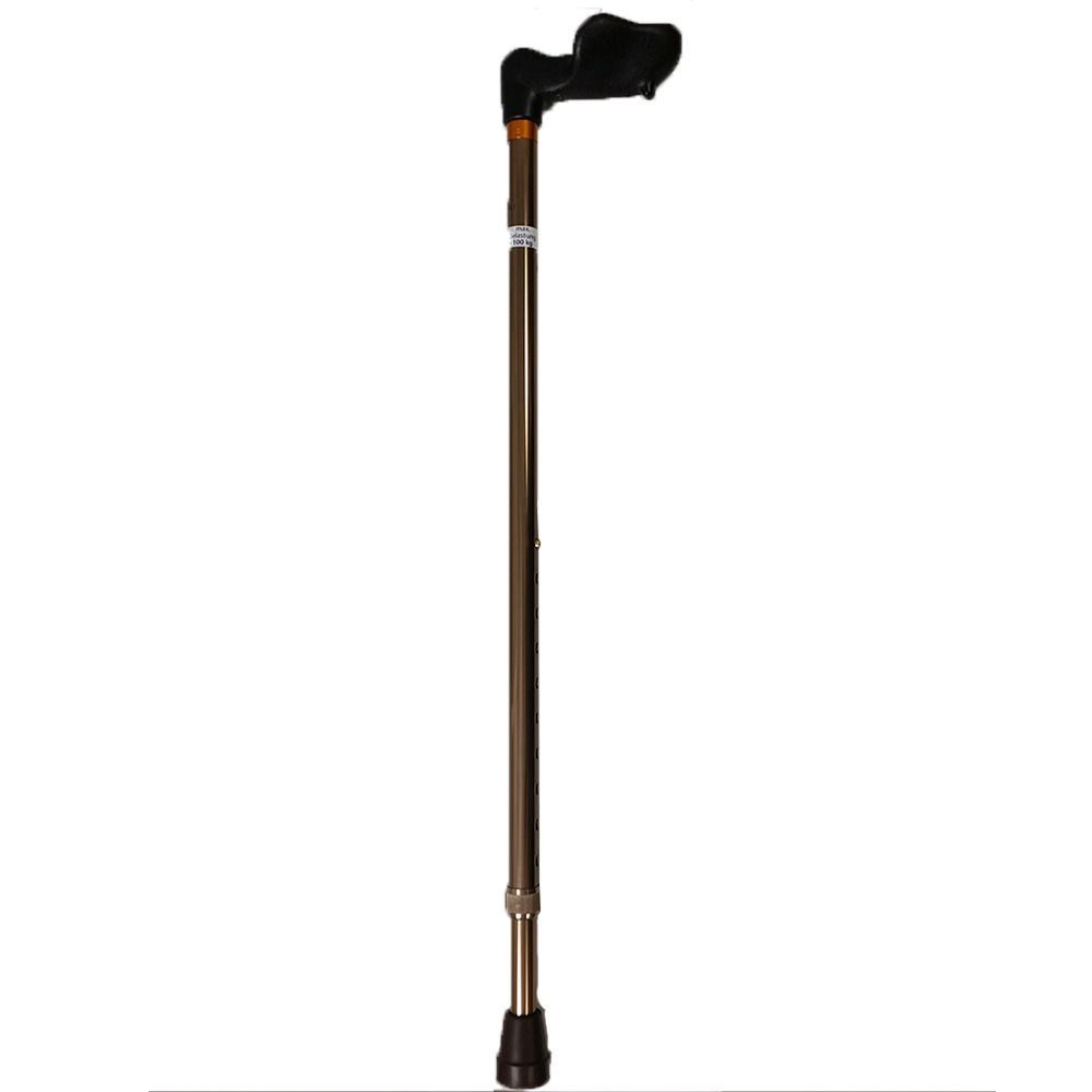 Cane with anatomical handle on the right, bronze