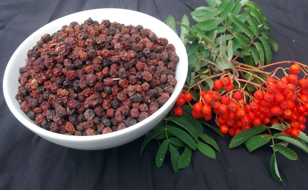 Krauterino24 - Rowan berries whole | Quantity: 100g