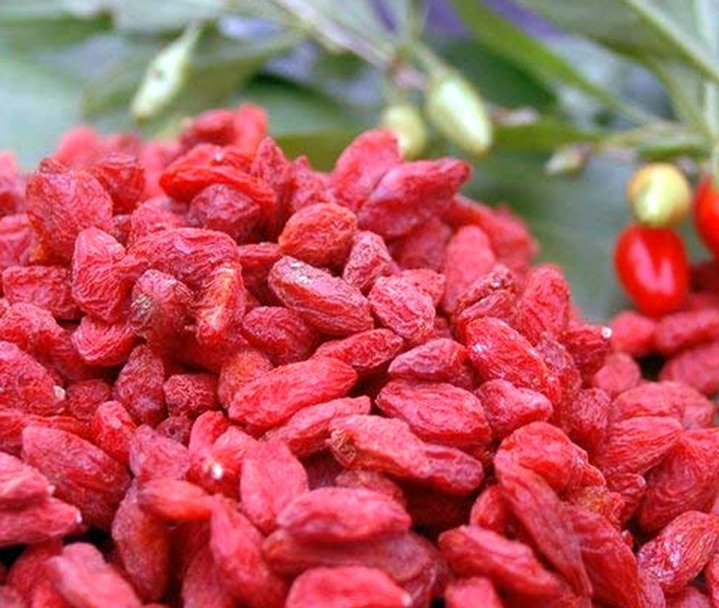 Krauterino24 - Goji berries whole | Quantity: 1000g