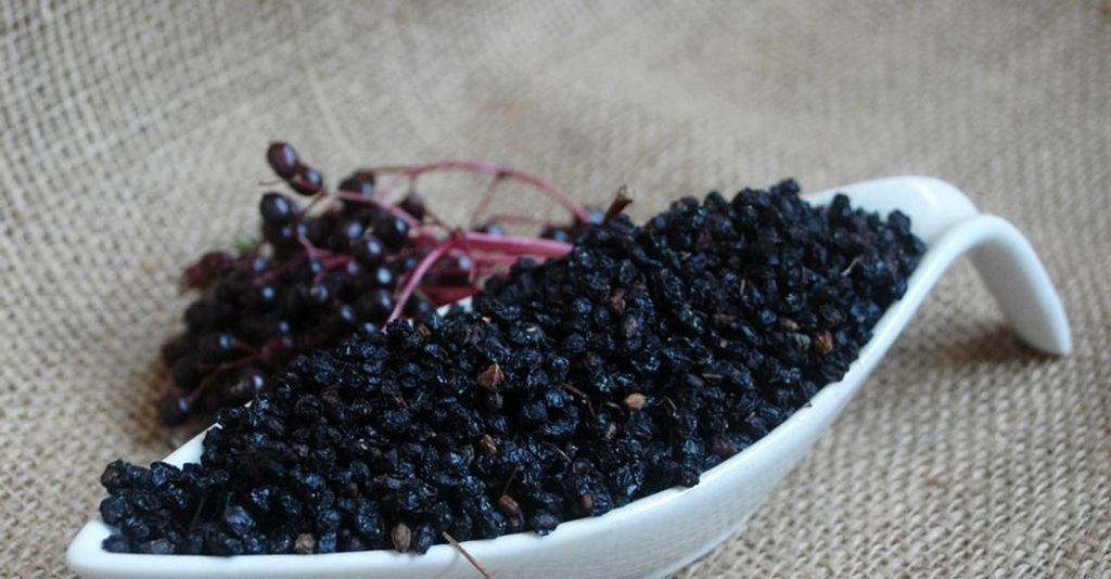 Krauterino24 - Elderberries nigra whole | Quantity: 1000g