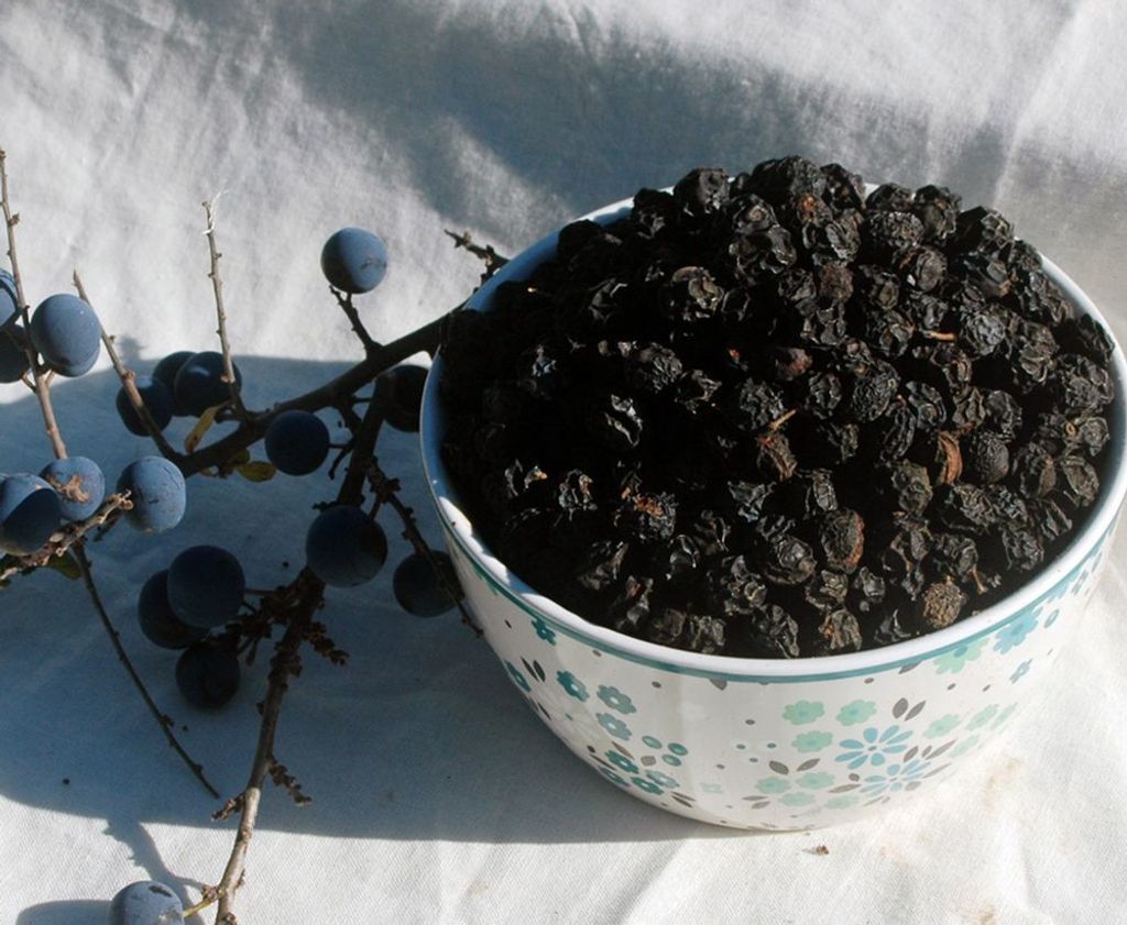 Krauterino24 - blackthorn fruits whole | Quantity: 100g