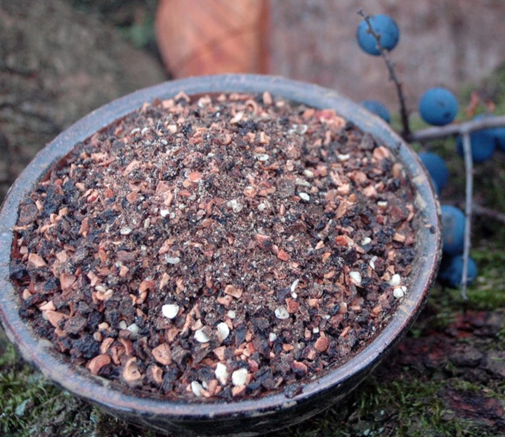 Krauterino24 - blackthorn fruits cut | Quantity: 100g
