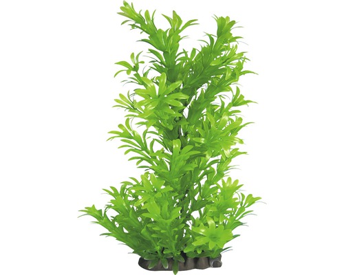 Plastic aquatic plant Deluxe Medium No. 16 17 cm