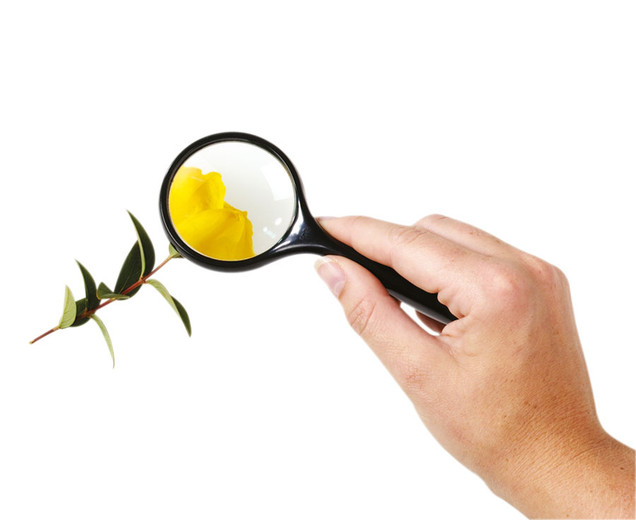Magnifier With Handle