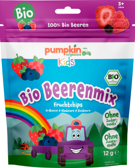 pumpkin organics Children's snack fruit chips berry mix, from 3 years, 12 g