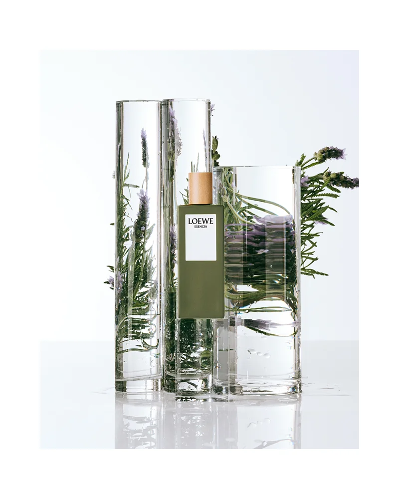 Loewe Esencia Eau de Toilette for men