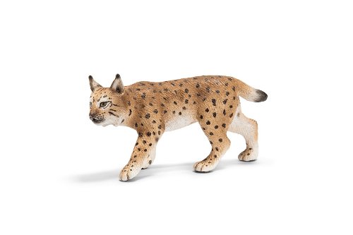 Lynx - Female