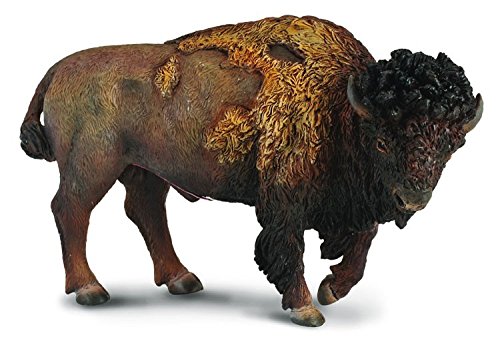 Collecta Macdue 883,366 American Bison L