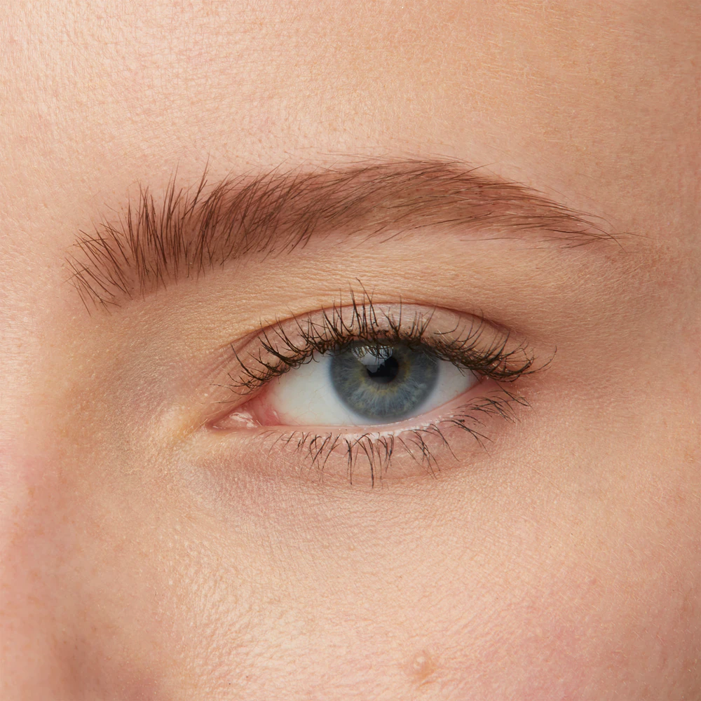 MAYBELLINE NEW YORK Tattoo Brow Semi-permanent gel color for eyebrows