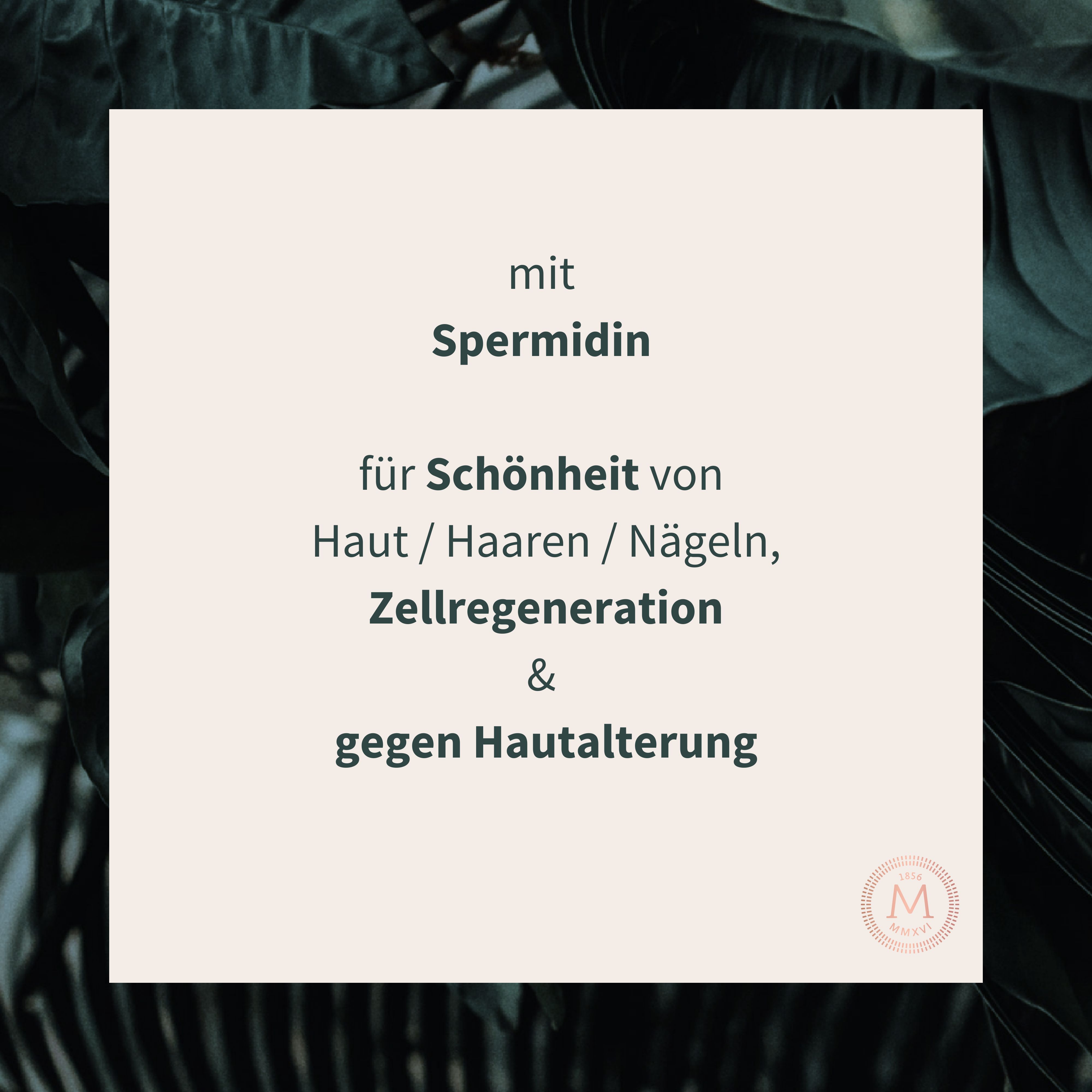 MEDICUSAN Beauty Perfection I Hyaluron - Spermidine - OPC
