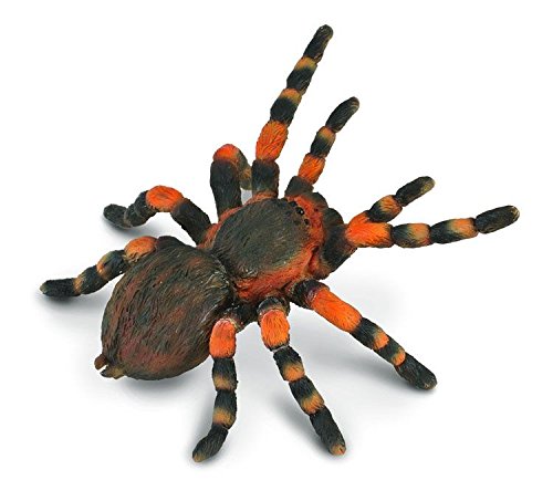 Mexican Redknee Tarantula Model By Collecta