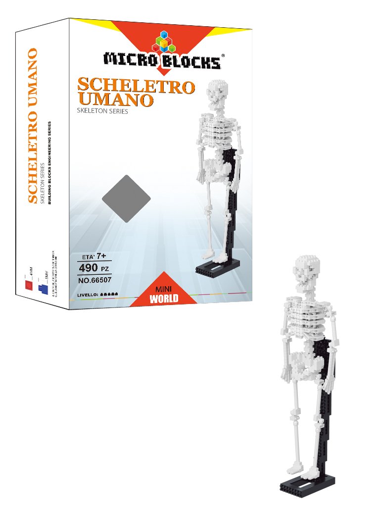 Micro Blocks Wlt 66507 – Set Human Skeleton