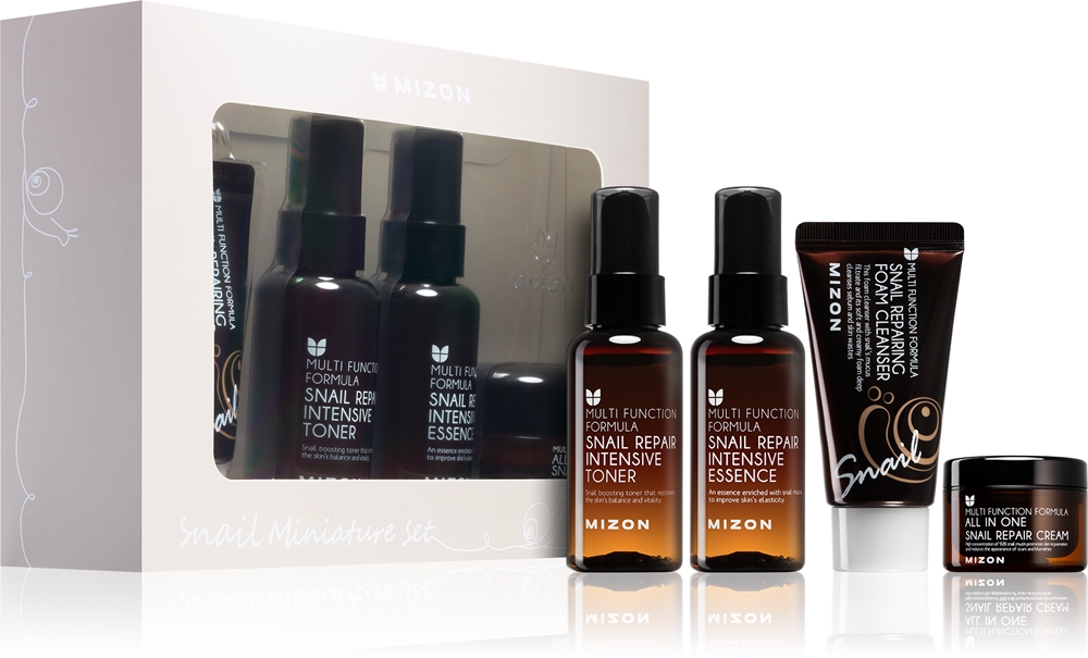 Mizon Multi Function Formula Snail Travel Set